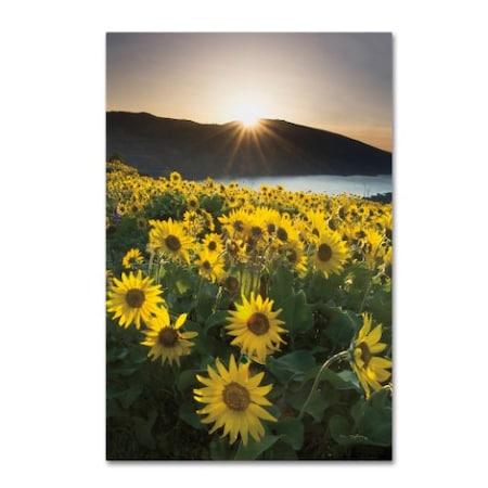 Alan Majchrowicz 'Columbia River Gorge Sunrise' Canvas Art,22x32